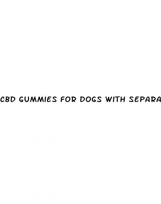 cbd gummies for dogs with separation anxiety